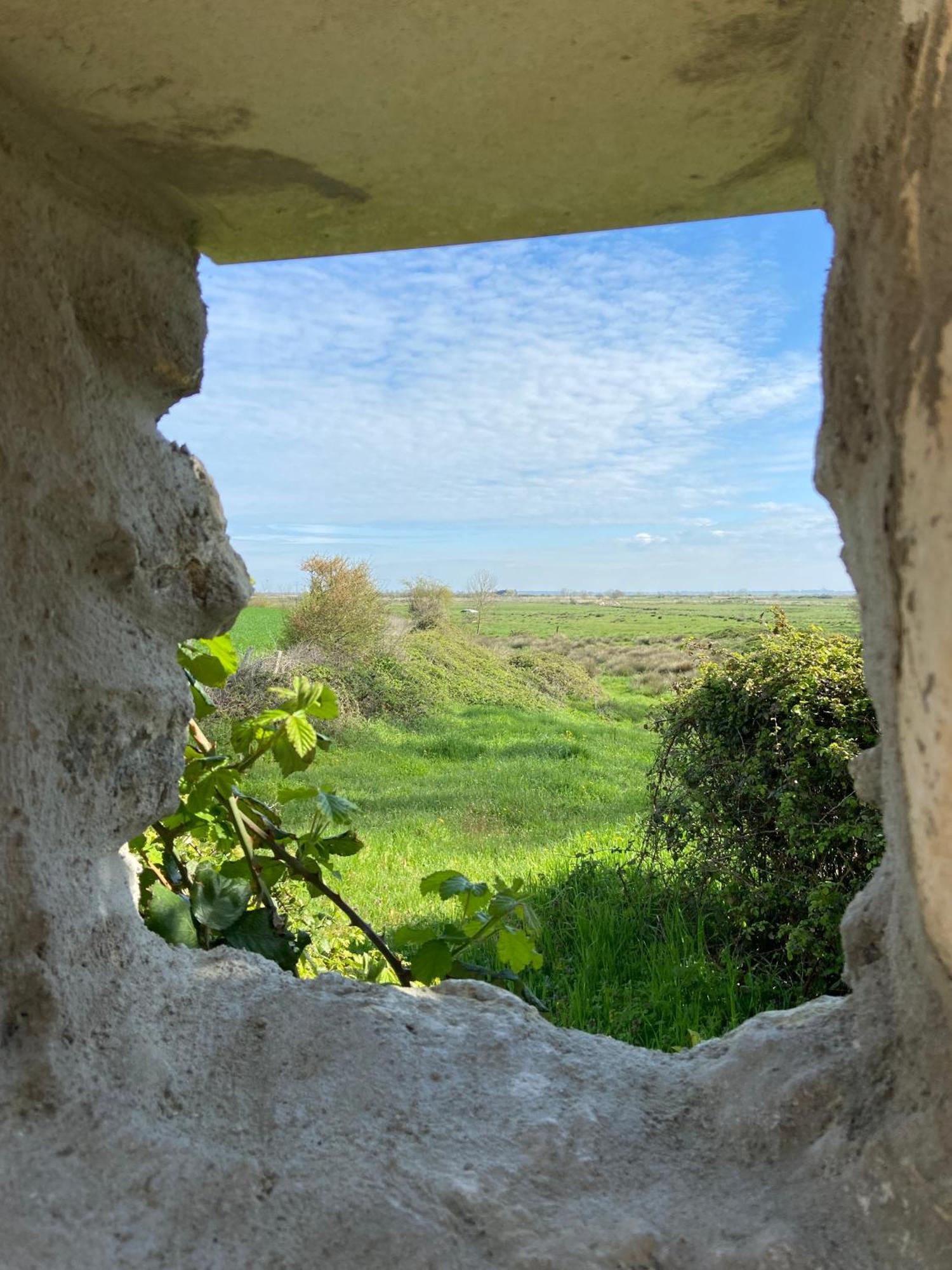 Chateau De Feusse Saint-Just-Luzac Екстериор снимка